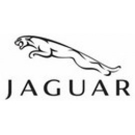 Jaguar | فروشگاه اینترنتی بیگ برندز